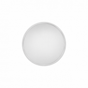 Blank .999 Silver Round (3.1 Grams)