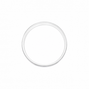 Capsules to Fit 39mm 31.1 Gram .999 Silver Round