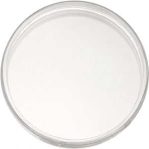 Capsules to Fit 39mm 31.1 Gram .999 Silver Round