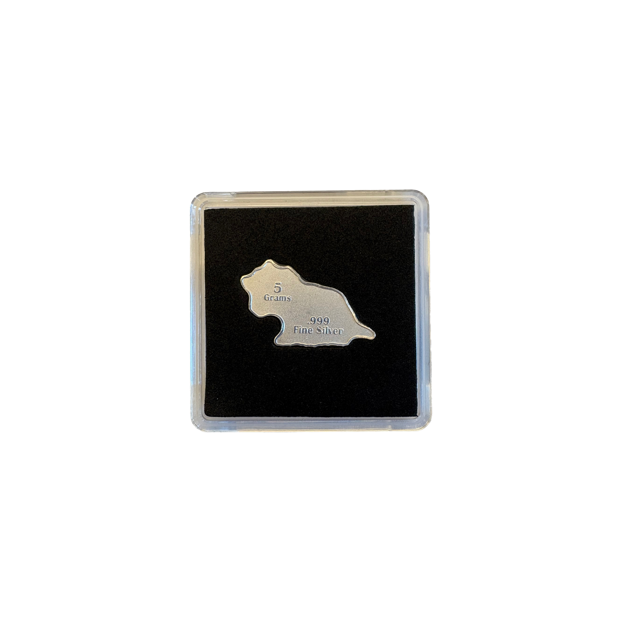 Triceratops .999 Silver (5g) (Dinosaur Series) back bar